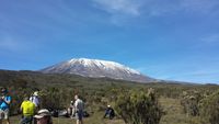 Kilimanjaro Bio und Fairtrade Kaffee Spengler NaturRösterei